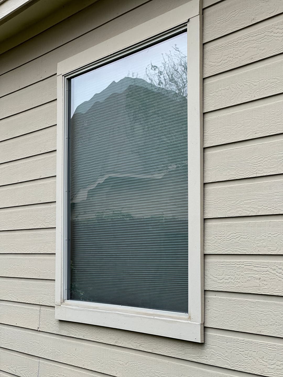House window with blinds reflecting trees and a textured exterior wall.